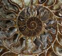 Cut Ammonite Fossil (Half) - Beautifully Agatized #58279-2